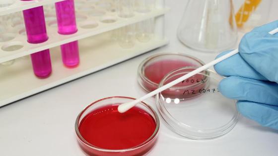 Labortisch mit Petrischalen und Reagenzglas