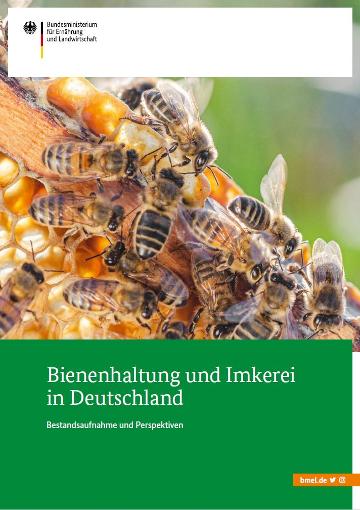 Titelbild der Broschüre "Bienenhaltung und Imkerei in Deutschland": Foto von Honigbienen
