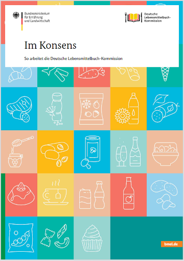 Cover der Broschüre "Im Konsens"