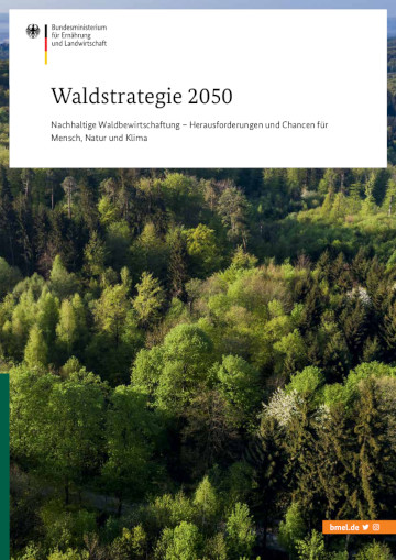 Cover der Broschüre Waldstrategie 2050