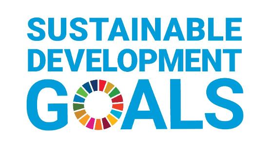 Logo der Sustainable Development Goals (SDG)