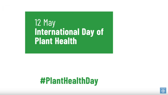 start image of the fao video: 12 May, International Day of Plant Helth #PlantHelthDay
