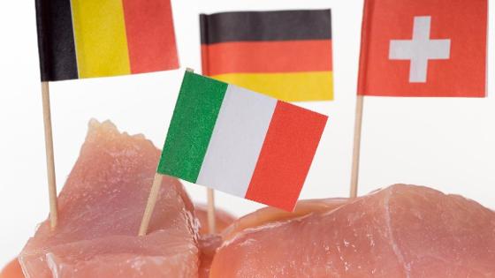 Verschiedene kleine Länder-Flaggen stecken in einem rohen Stück Fleisch und stehen für die Herkunft des Fleisches