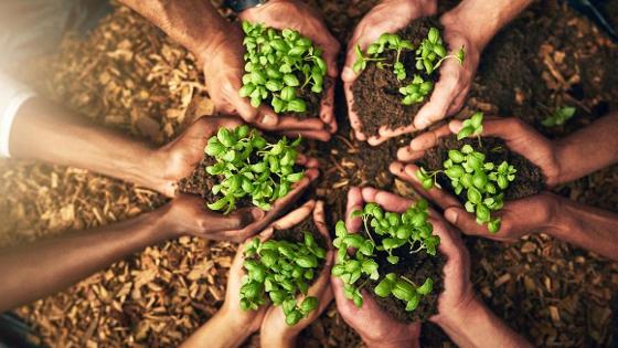 Sechs Paar Hände halten Erde mit Pflanzen