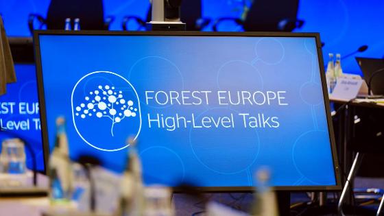 Logo des pan-europäischen Forstministerprozesses „FOREST EUROPE" auf einem Bildschirm