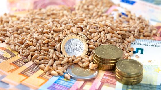 Euro-Münzen und -Scheine liegen zusammen mit Getreidekörnern