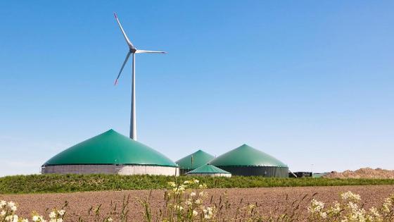 Biogasanlage und Windrad, im Vordergrund ein Feld mit Blühstreifen